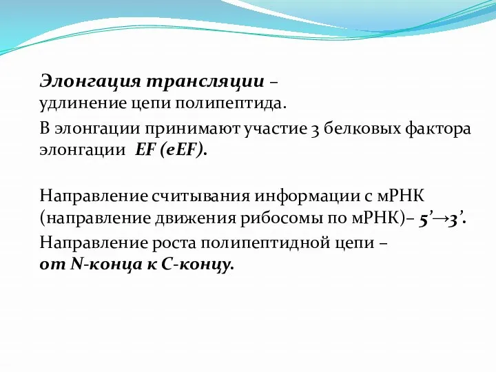 Элонгация трансляции – удлинение цепи полипептида. В элонгации принимают участие