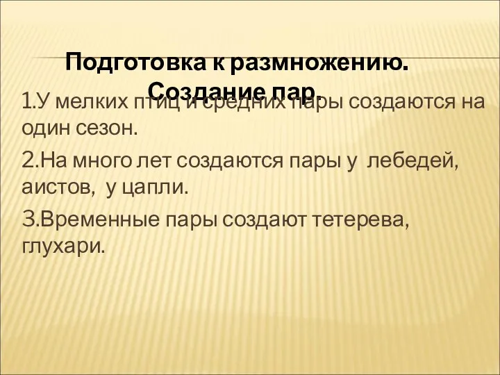 Подготовка к размножению. Создание пар. 1.У мелких птиц и средних