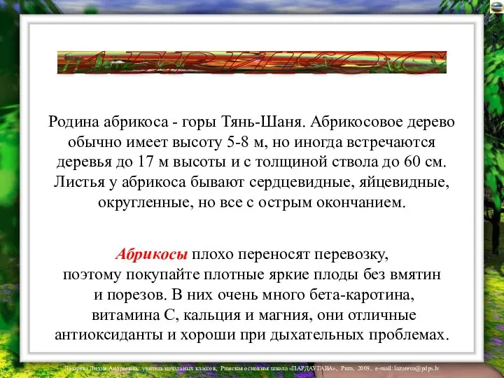 Родина абрикоса - горы Тянь-Шаня. Абрикосовое дерево обычно имеет высоту 5-8 м, но