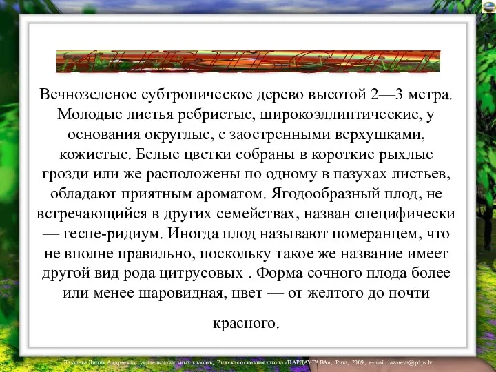 Вечнозеленое субтропическое дерево высотой 2—3 метра. Молодые листья ребристые, широкоэллиптические,