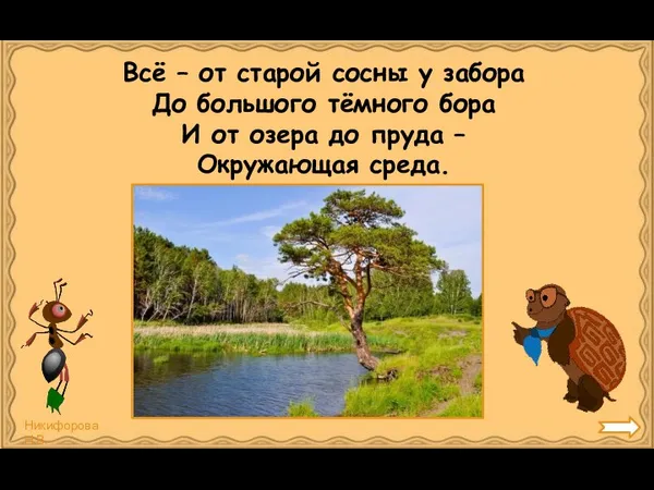 Всё – от старой сосны у забора До большого тёмного