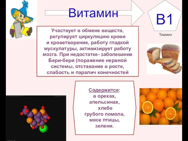 B1 Витамин Участвует в обмене веществ, регулирует циркуляцию крови и кроветворение, работу гладкой