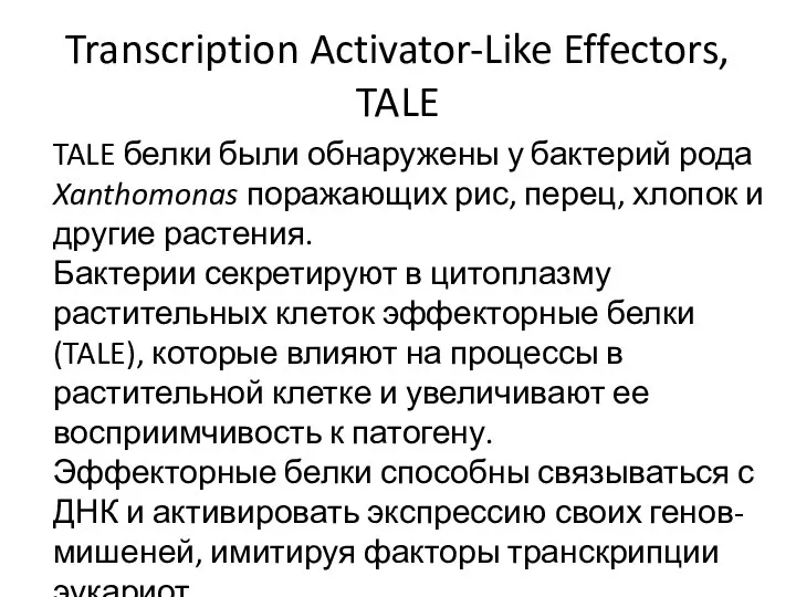 Transcription Activator-Like Effectors, TALE TALE белки были обнаружены у бактерий рода Xanthomonas поражающих