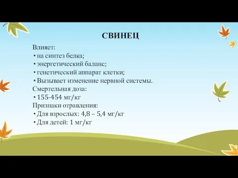 СВИНЕЦ Влияет: на синтез белка; энергетический баланс; генетический аппарат клетки;