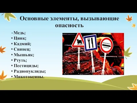 Основные элементы, вызывающие опасность Медь; Цинк; Кадмий; Свинец; Мышьяк; Ртуть; Пестициды; Радионуклиды; Микотоксины.