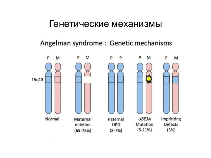 Генетические механизмы