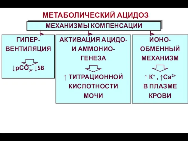 МЕТАБОЛИЧЕСКИЙ АЦИДОЗ МЕХАНИЗМЫ КОМПЕНСАЦИИ