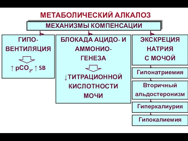 МЕТАБОЛИЧЕСКИЙ АЛКАЛОЗ МЕХАНИЗМЫ КОМПЕНСАЦИИ