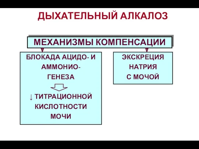 МЕХАНИЗМЫ КОМПЕНСАЦИИ ДЫХАТЕЛЬНЫЙ АЛКАЛОЗ