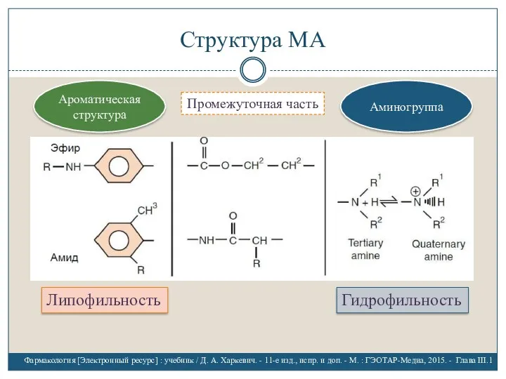 Структура МА Промежуточная часть Липофильность Гидрофильность Ароматическая структура Аминогруппа Фармакология [Электронный ресурс] :