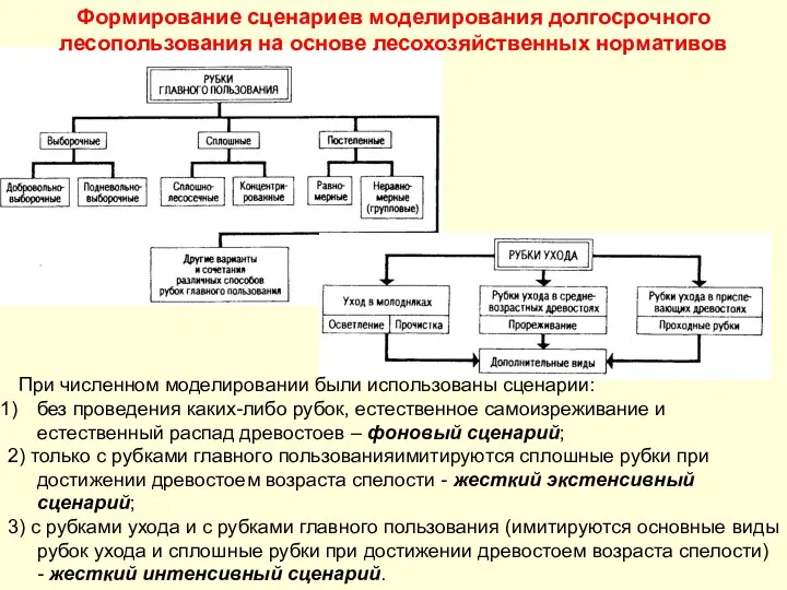 Формирование сценариев моделирования долгосрочного лесопользования на основе лесохозяйственных нормативов При