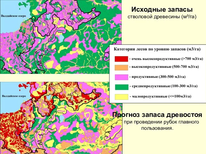 Прогноз запаса древостоя при проведении рубок главного пользования. Исходные запасы стволовой древесины (м³/га)