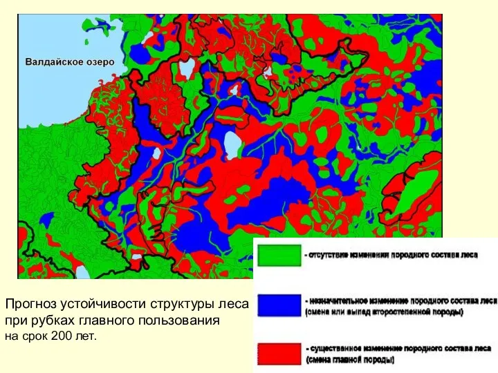 Прогноз устойчивости структуры леса при рубках главного пользования на срок 200 лет.