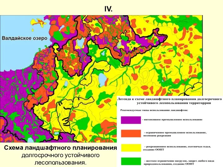 Схема ландшафтного планирования долгосрочного устойчивого лесопользования. IV.