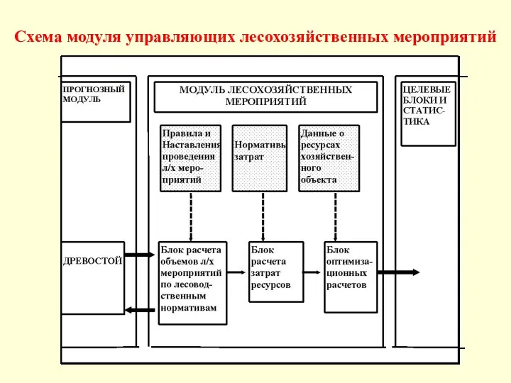 Схема модуля управляющих лесохозяйственных мероприятий