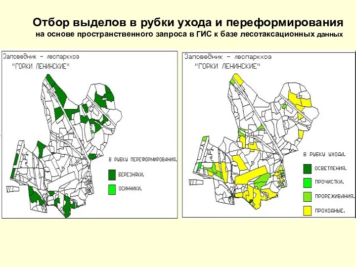 Отбор выделов в рубки ухода и переформирования на основе пространственного