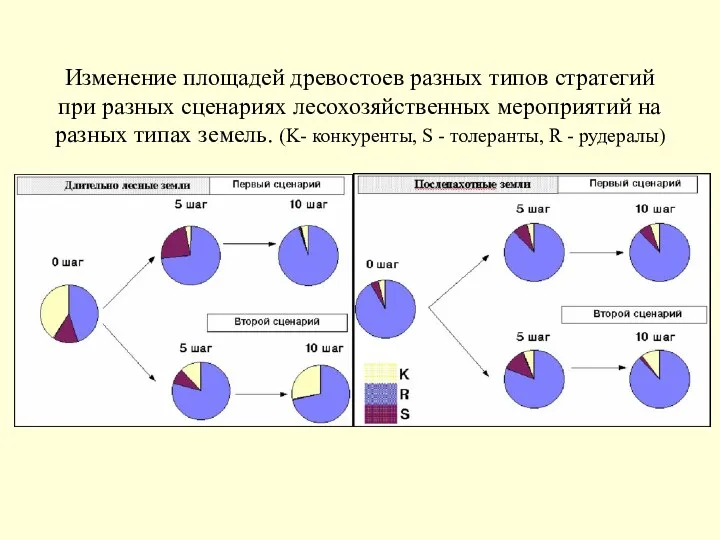 Изменение площадей древостоев разных типов стратегий при разных сценариях лесохозяйственных