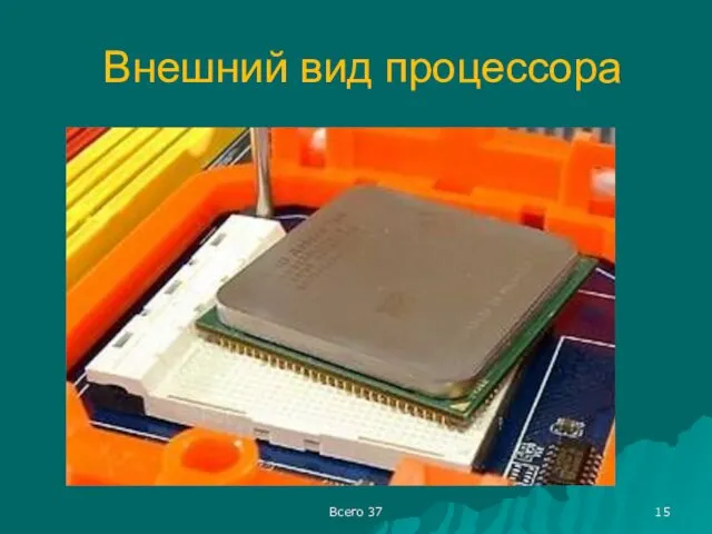 Внешний вид процессора Всего 37