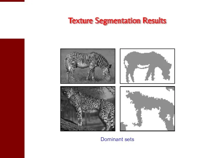 Texture Segmentation Results Dominant sets