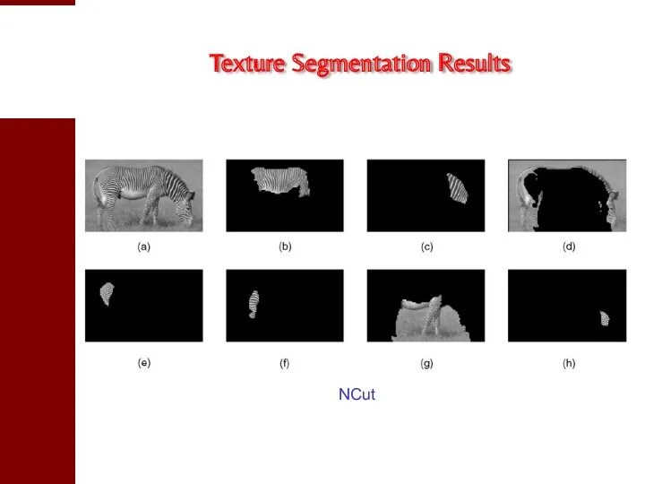 Texture Segmentation Results NCut