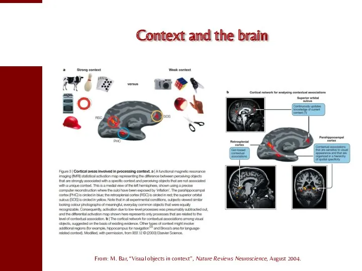 Context and the brain From: M. Bar, “Visual objects in context”, Nature Reviews Neuroscience, August 2004.