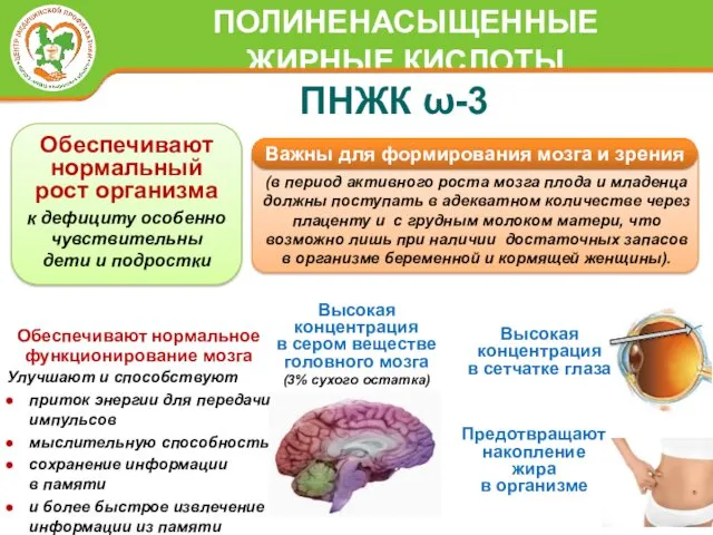ПНЖК ω-3 Высокая концентрация в сером веществе головного мозга (3%