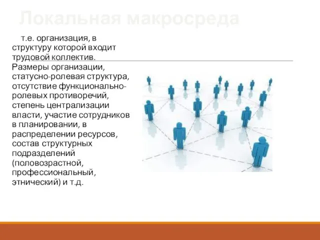 Локальная макросреда т.е. организация, в структуру которой входит трудовой коллектив.