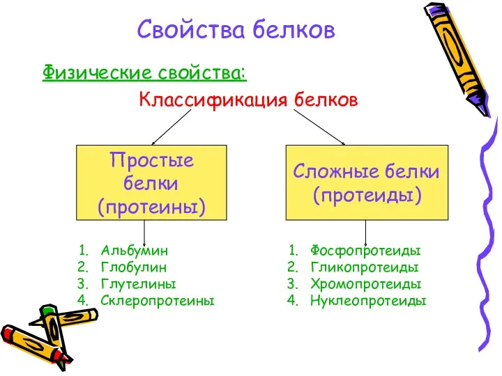 Свойства белков Физические свойства: Классификация белков Простые белки (протеины) Сложные