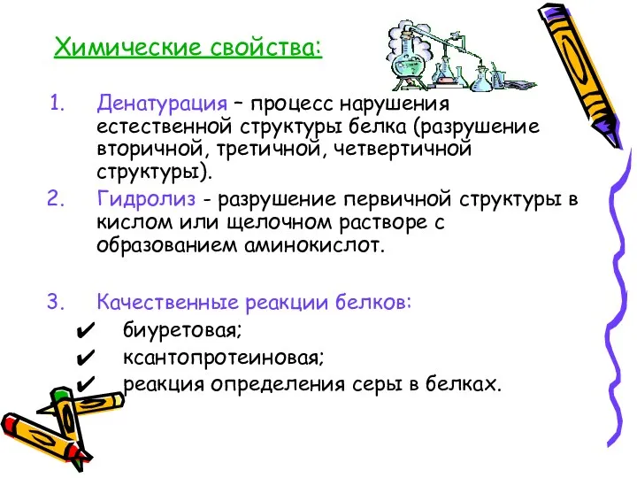 Химические свойства: Денатурация – процесс нарушения естественной структуры белка (разрушение