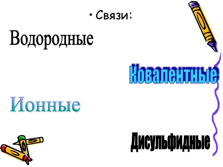 Связи: Водородные Дисульфидные Ионные Ковалентные