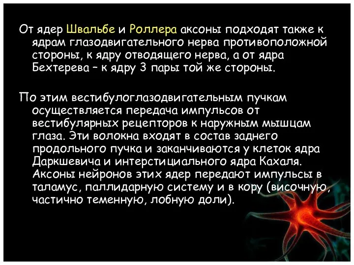 От ядер Швальбе и Роллера аксоны подходят также к ядрам