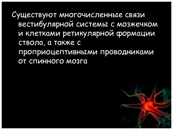 Существуют многочисленные связи вестибулярной системы с мозжечком и клетками ретикулярной формации ствола, а