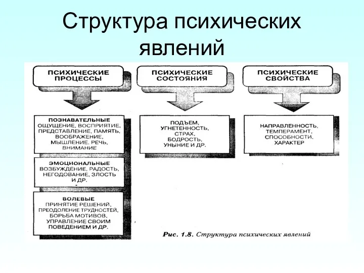 Структура психических явлений