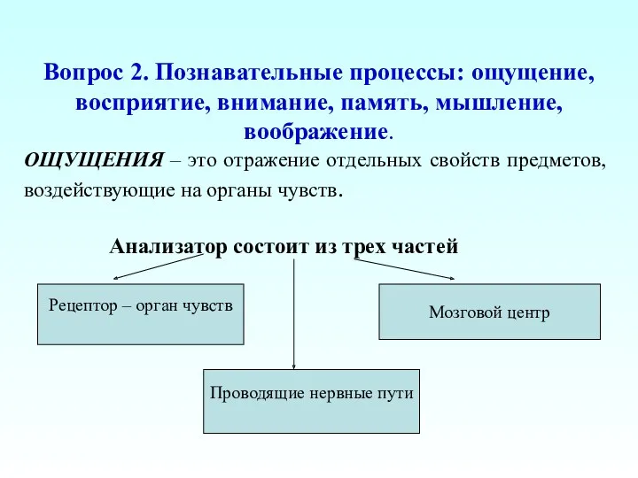 Вопрос 2. Познавательные процессы: ощущение, восприятие, внимание, память, мышление, воображение.