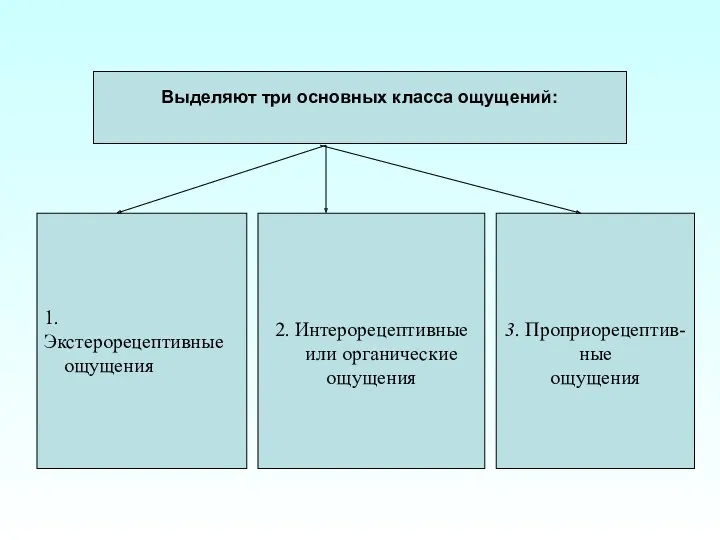 1. Экстерорецептивные ощущения 2. Интерорецептивные или органические ощущения 3. Проприорецептив-