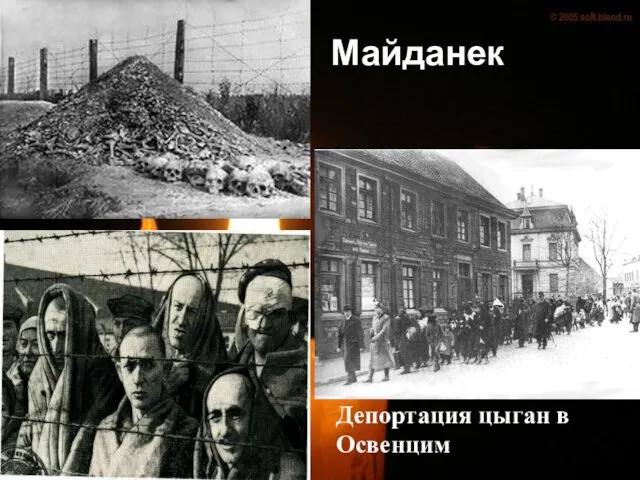 Майданек Депортация цыган в Освенцим