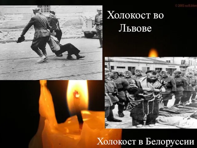 Холокост во Львове Холокост в Белоруссии