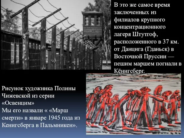 В это же самое время заключенных из филиалов крупного концентрационного лагеря Штутгоф, расположенного