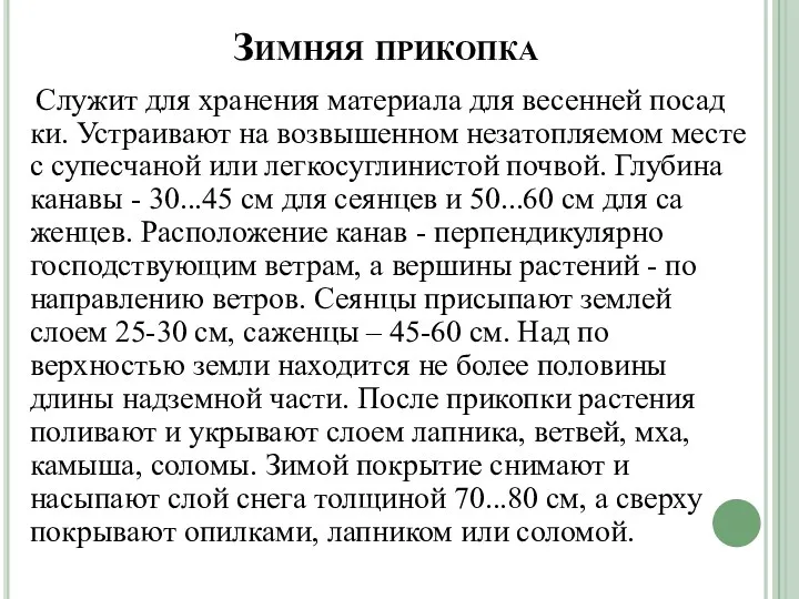 Зимняя прикопка Служит для хранения материала для весенней посад­ки. Устраивают