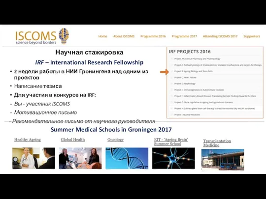 Научная стажировка IRF – International Research Fellowship 2 недели работы в НИИ Гронингена