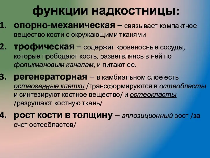 функции надкостницы: опорно-механическая – связывает компактное вещество кости с окружающими