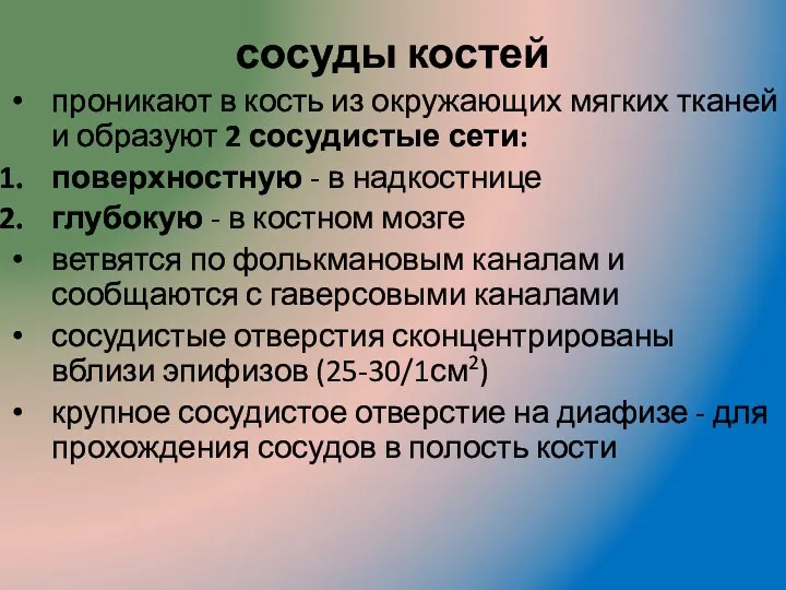 сосуды костей проникают в кость из окружающих мягких тканей и