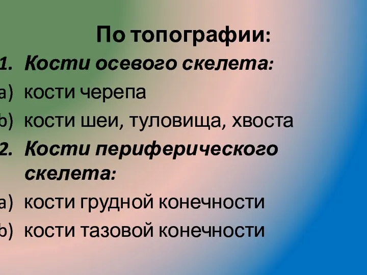 По топографии: Кости осевого скелета: кости черепа кости шеи, туловища,