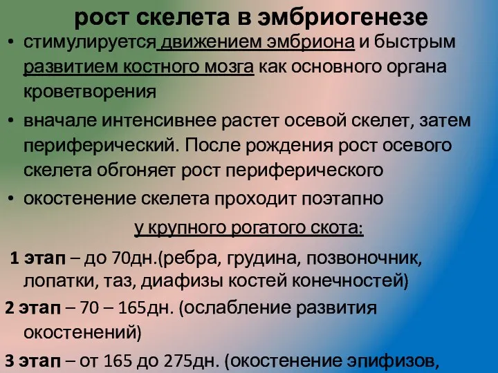 рост скелета в эмбриогенезе стимулируется движением эмбриона и быстрым развитием