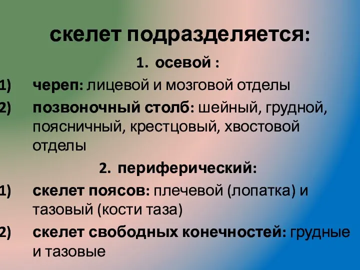 скелет подразделяется: осевой : череп: лицевой и мозговой отделы позвоночный