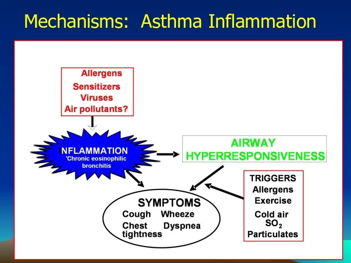 Mechanisms: Asthma Inflammation