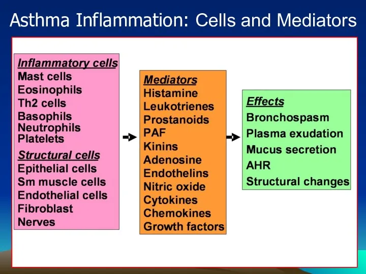 Source: Peter J. Barnes, MD Asthma Inflammation: Cells and Mediators