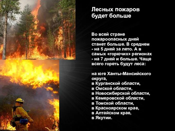 Лесных пожаров будет больше Во всей стране пожароопасных дней станет