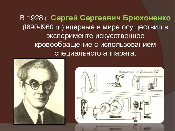 В 1928 г. Сергей Сергеевич Брюхоненко (I890-I960 гг.) впервые в мире осуществил в