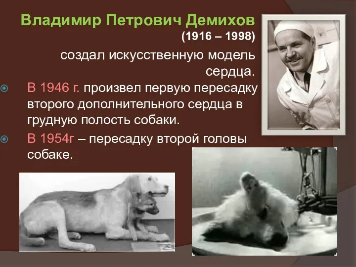 В 1946 г. произвел первую пересадку второго дополнительного сердца в грудную полость собаки.